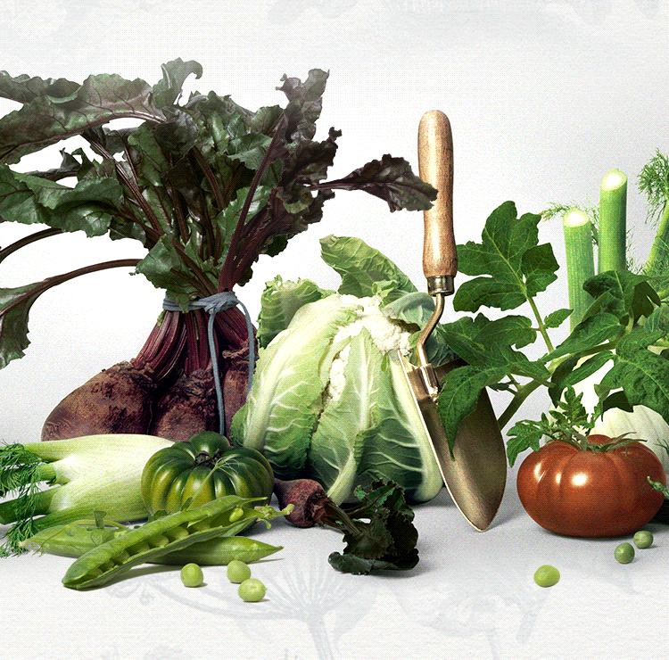 hb美容护肤产品,肖战赵丽颖时尚