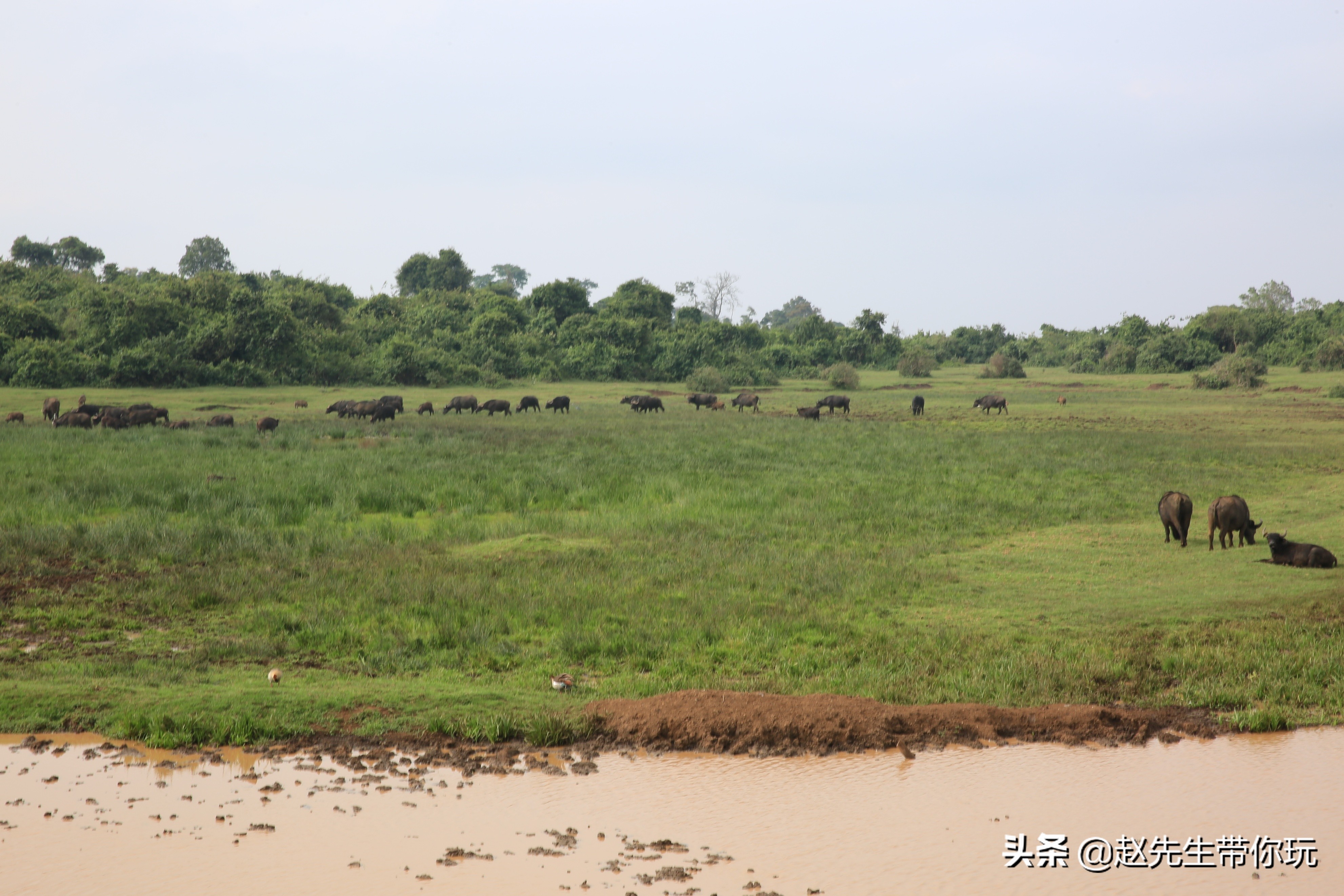 二十年游历分享之202:非洲19:肯尼亚18尼耶利的方舟酒店