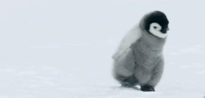 提高认知增长知识的高分纪录片,孩子必看的5部纪录片