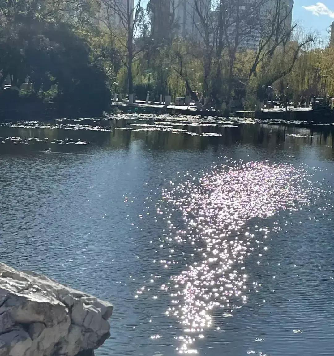 昆明经典人文旅游,带你领略云南古城的魅力