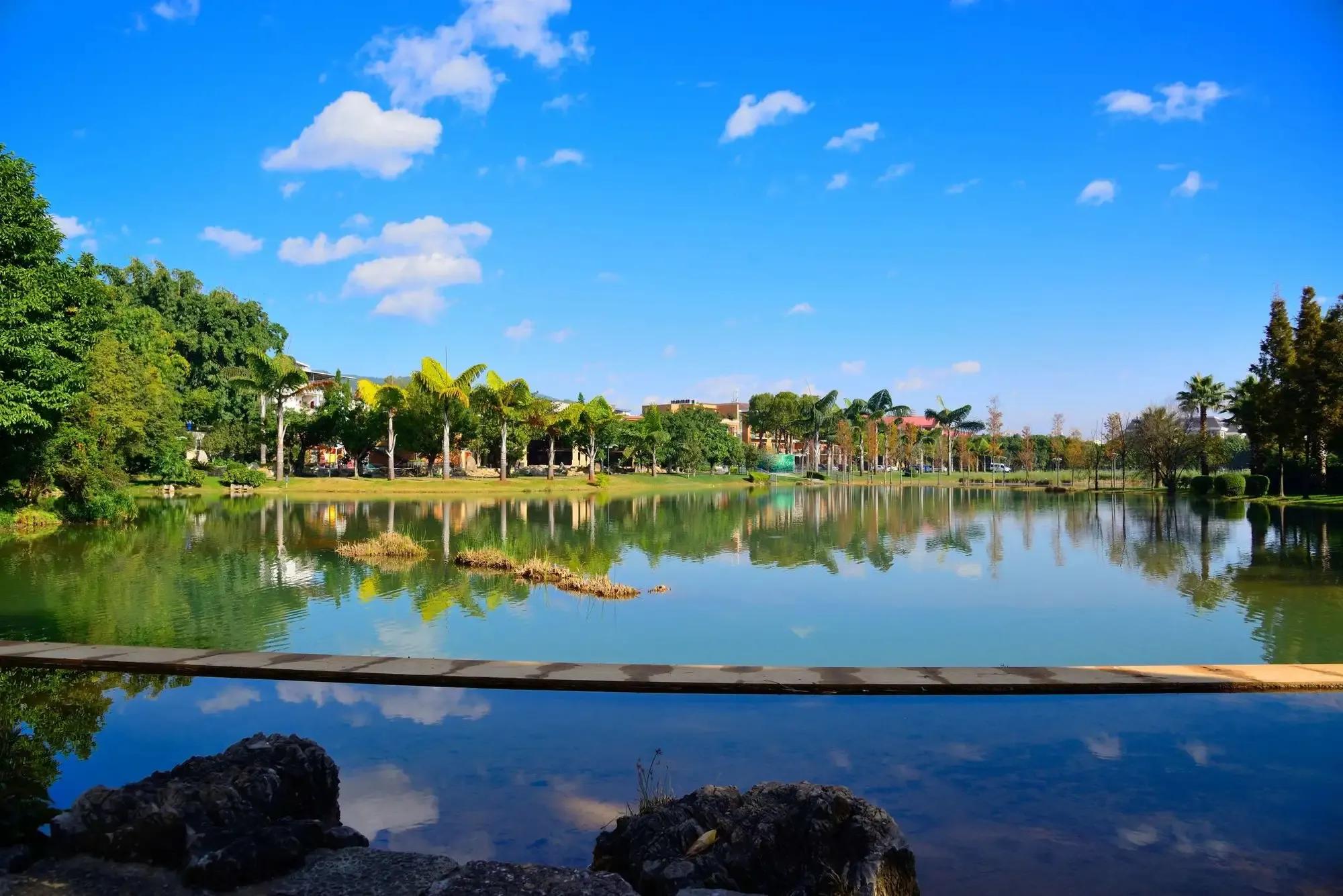 夏天云南最适合避暑的城市,云南既适合避寒又适合避暑的地方