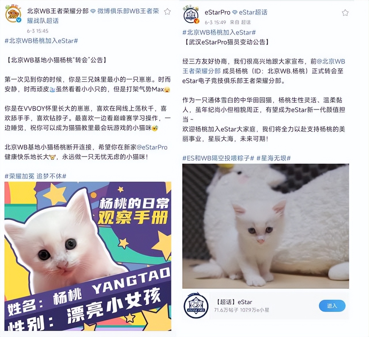 ag转会最新官宣消息主播们反应,ag官博