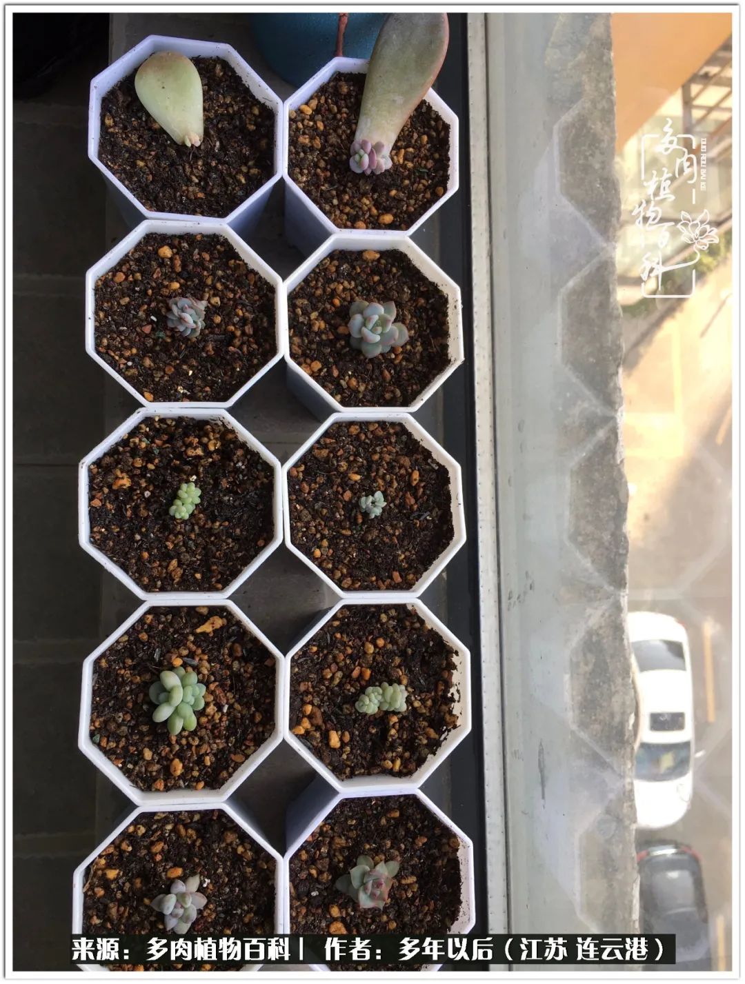 我若不弃，愿你不负我所期