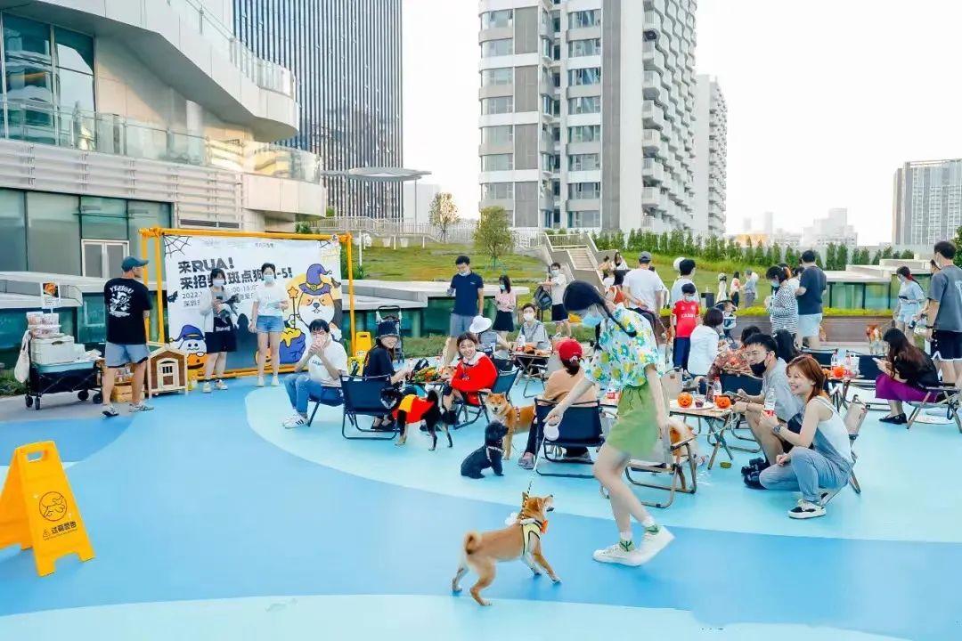 露营围炉煮茶周末旅游经济出新招,户外露营围炉煮茶需多大投资