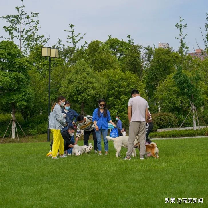 创新文化体育活动,创新文旅活动策划