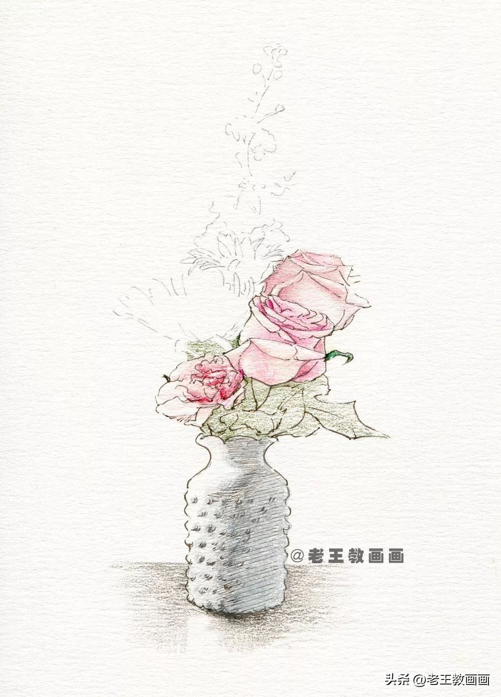 零基础也能学会的彩铅画画,零基础画彩铅画牡丹