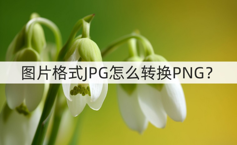 图片格式png与jpg怎么转换,图片jpg格式怎么转换psd