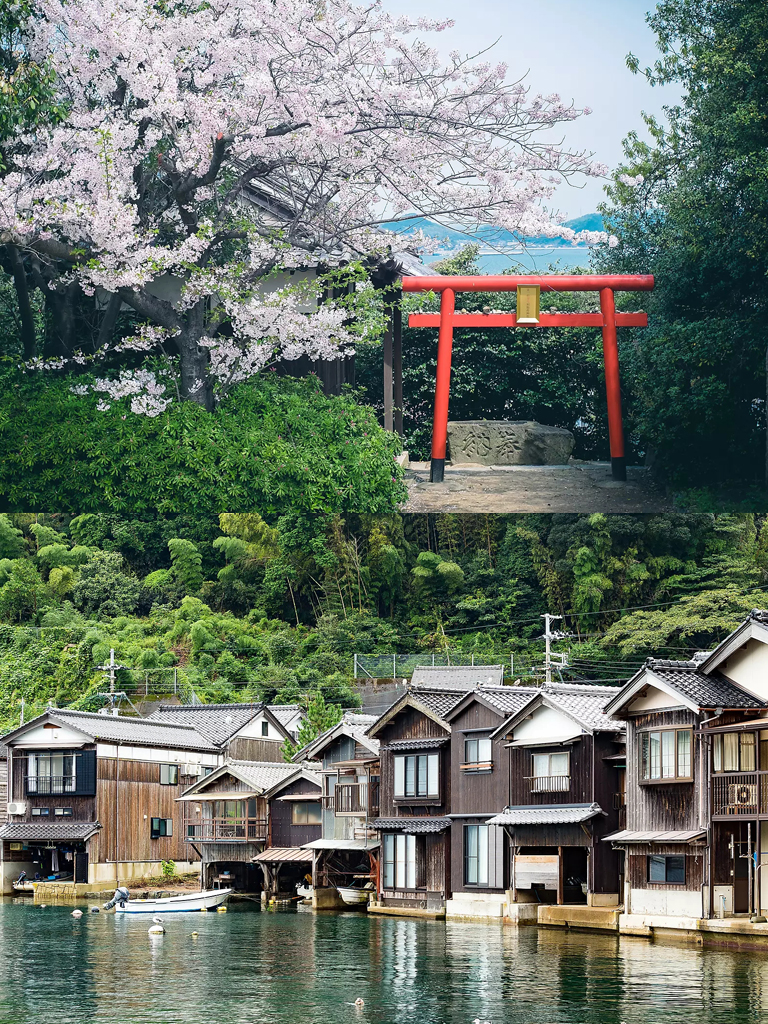 庞洛邮轮看海豚,庞洛邮轮全景图