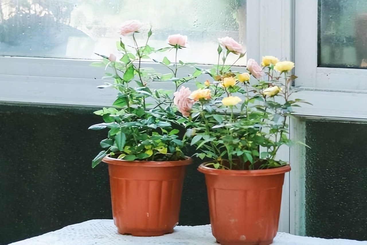 同学群有的人一言不发又不退群,为啥同学群有人从不说话却不退群