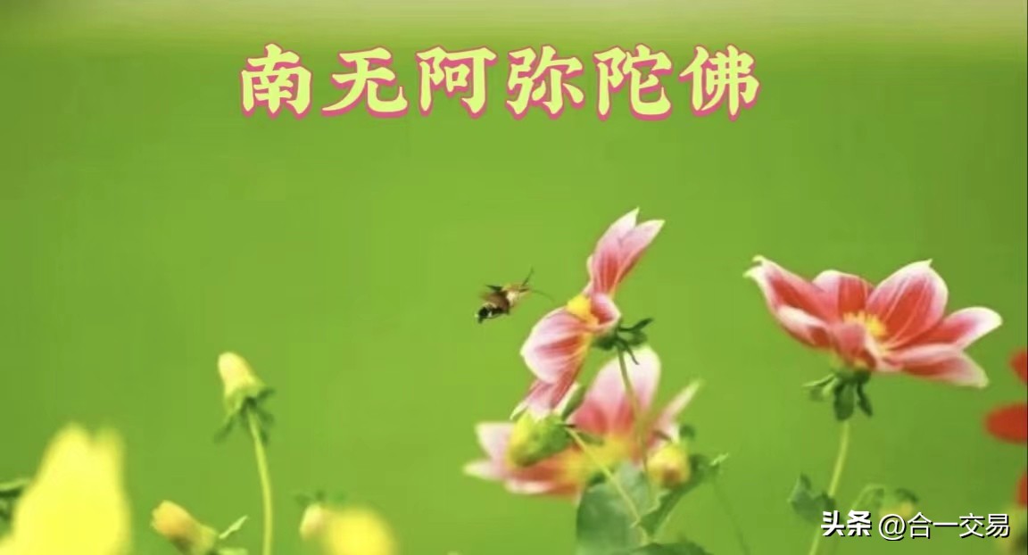 期货日内交易简单方法,周期共振最佳交易方法