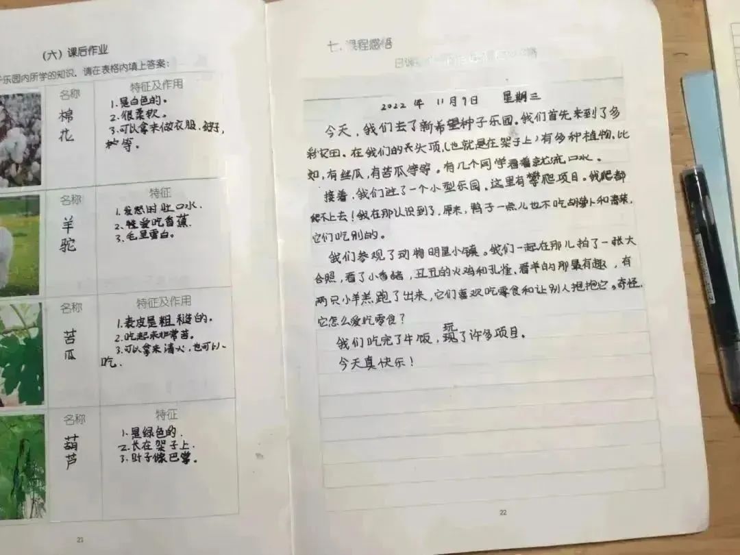 种子乐园游玩攻略,种子乐园2-6岁儿童科普