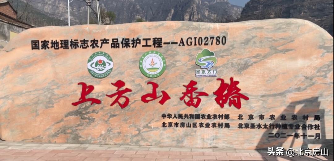 摄影作品征集|秀出你眼中的“魅力韩村河”