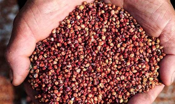 老真酒和假老酒的相同之处,老假酒和假老酒有什么区别