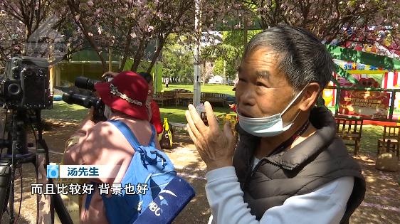 昆明春暖花开解锁春日美景好去处,春暖花开踏青好去处