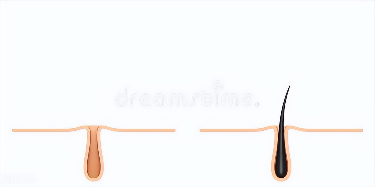 为什么有的人“菊花”周围会长“菊花毛”？把毛刮掉会产生伤害吗