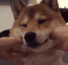 女孩子看起来外表美丽，其实裤袜已经掉到大腿根了！哈哈哈