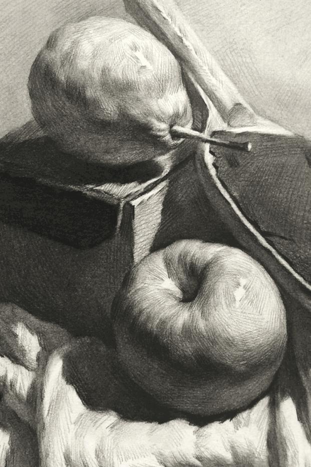 素描暗部画糊了,素描静物暗部该重到什么程度