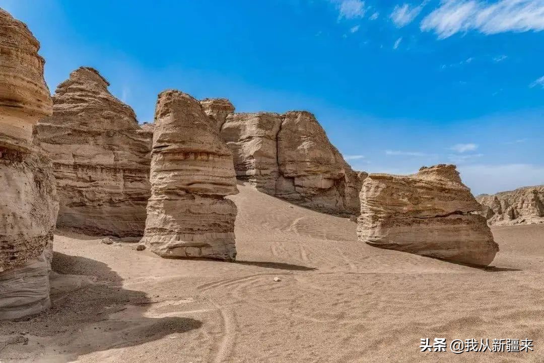 omg眼影青蓝紫 (omg眼影)