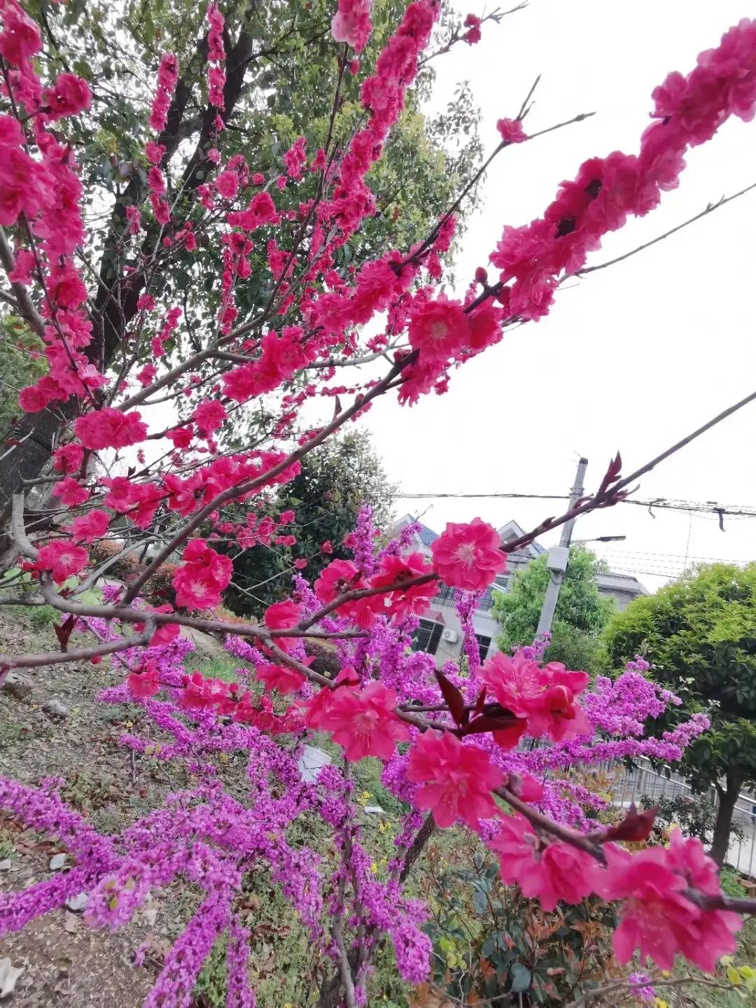 父亲的精神力量,我的精神支柱爸爸妈妈