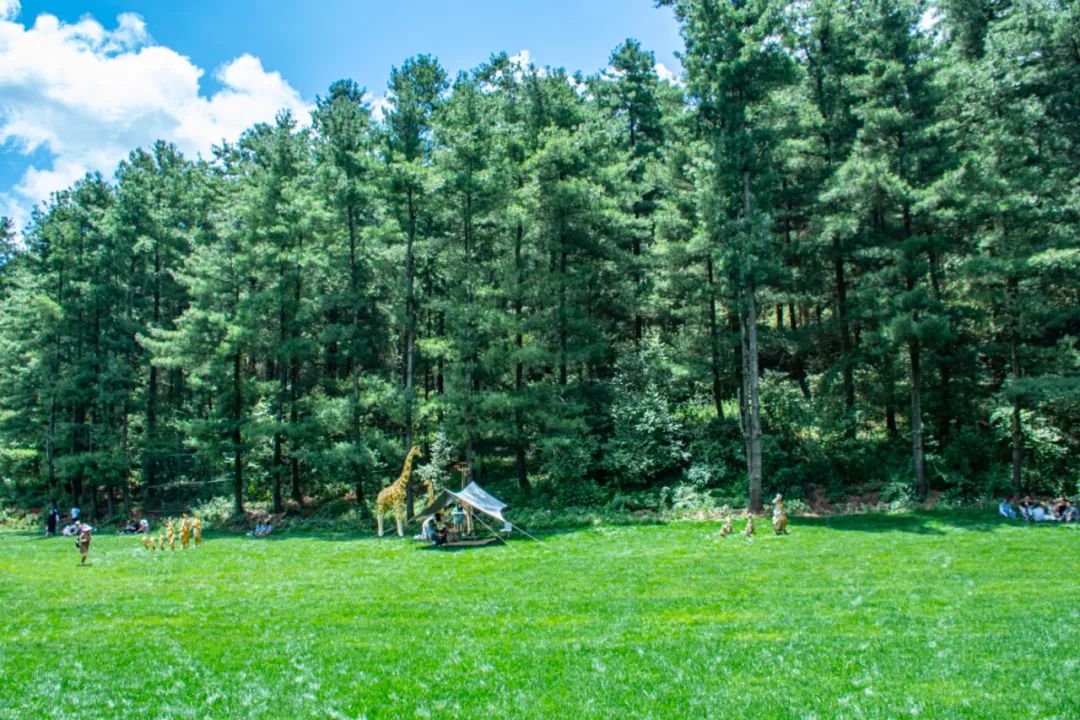 昆明国庆周边游露营,昆明春游露营的地方