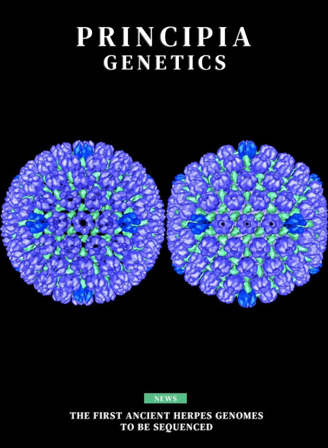 不要亲亲，亲亲会传染