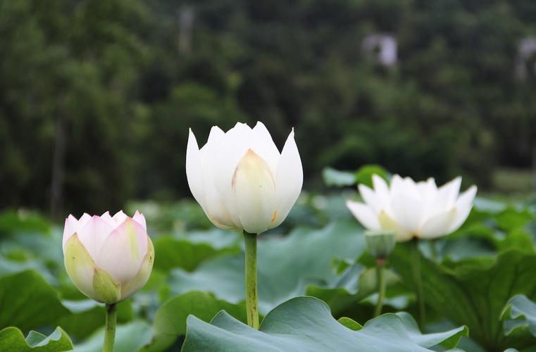 你的微信名早已暴露了你的一切,你的微信名暴露了你的性格