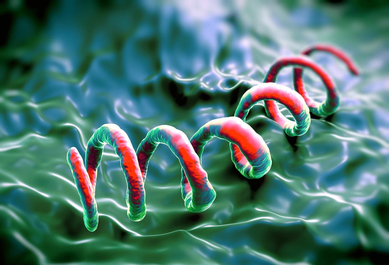 得了梅毒有什么症状？身上会痒吗？梅毒能治愈吗？早了解早受益