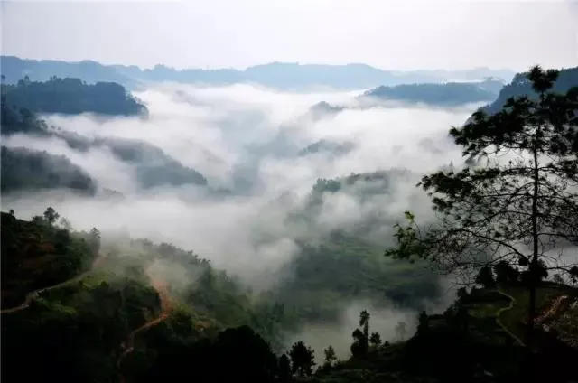 内江网红夜景打卡景点视频,内江打卡风景