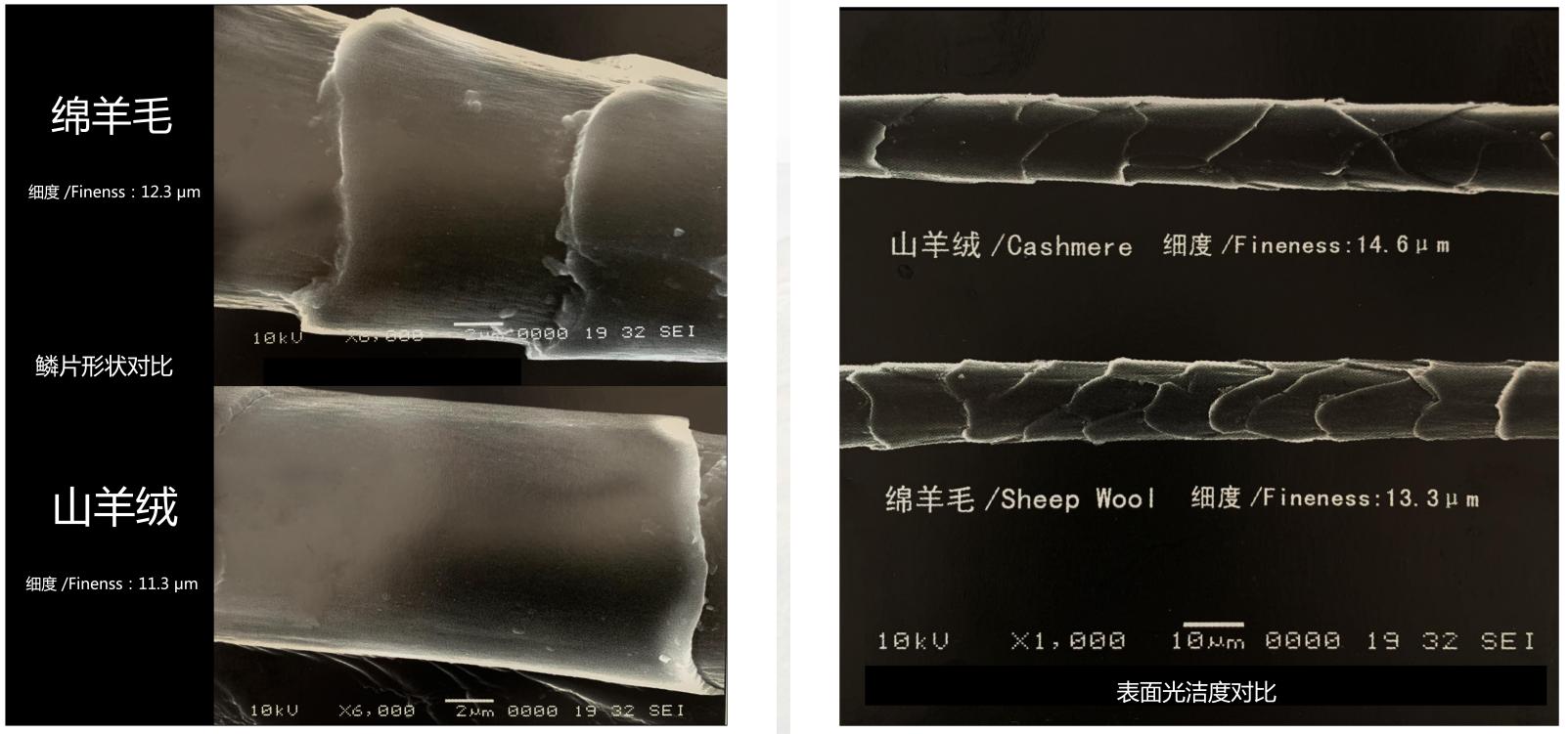 羊绒围巾什么牌子性价比高,小众羊绒围巾品牌推荐
