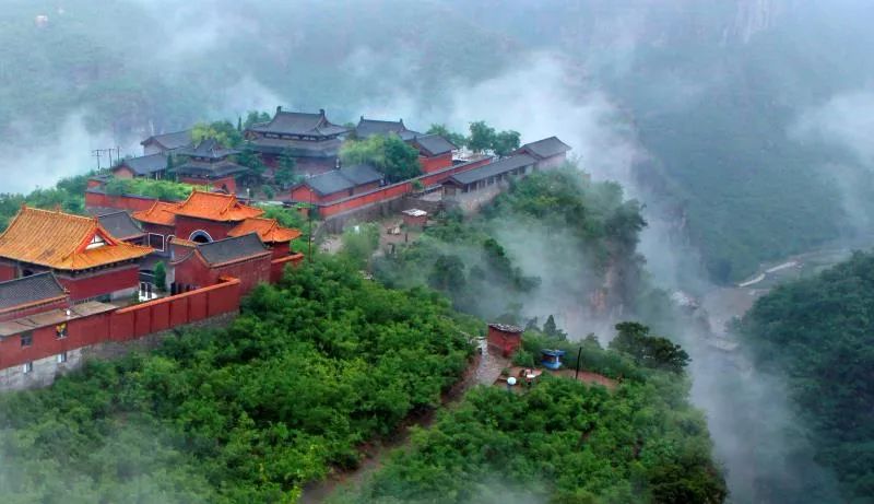 享受阳光享受大自然天然氧吧,值得一去的天然森林氧吧