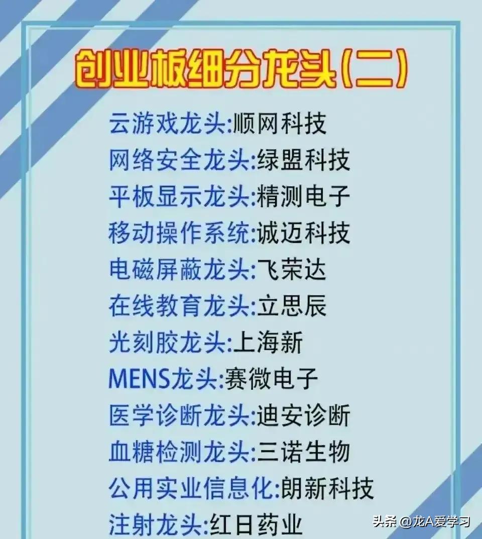 汽车创业板龙头股有哪些,创业板2元左右的龙头股