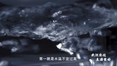 武汉江夏光明良种茶价格,江夏区好喝的富硒茶