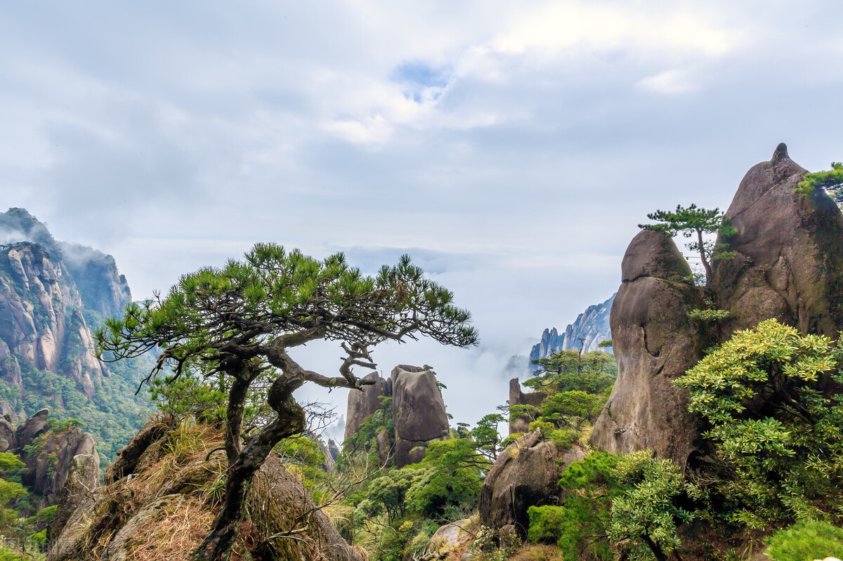 烛光摇曳，照亮远方的路，孤单的夜不会漫长