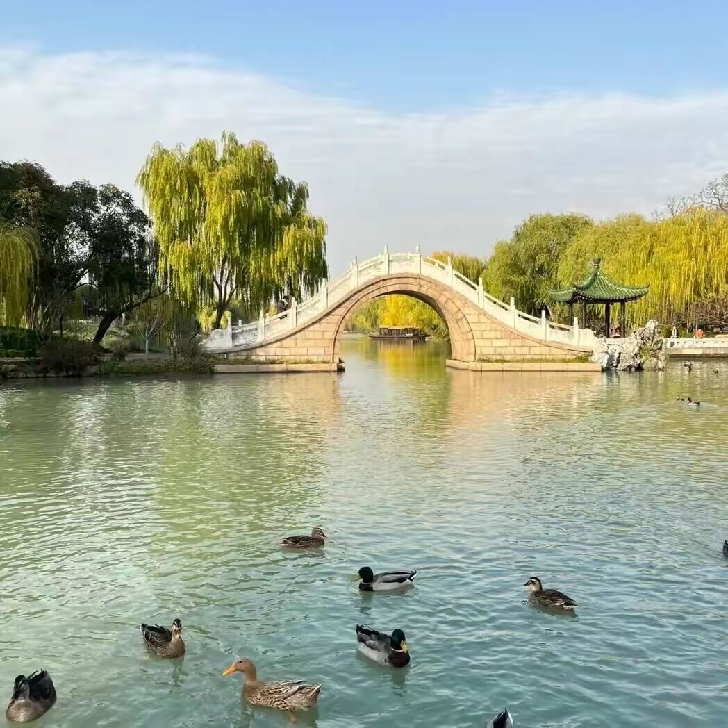 西湖与瘦西湖各有风韵,扬州瘦西湖春意盎然美不胜收