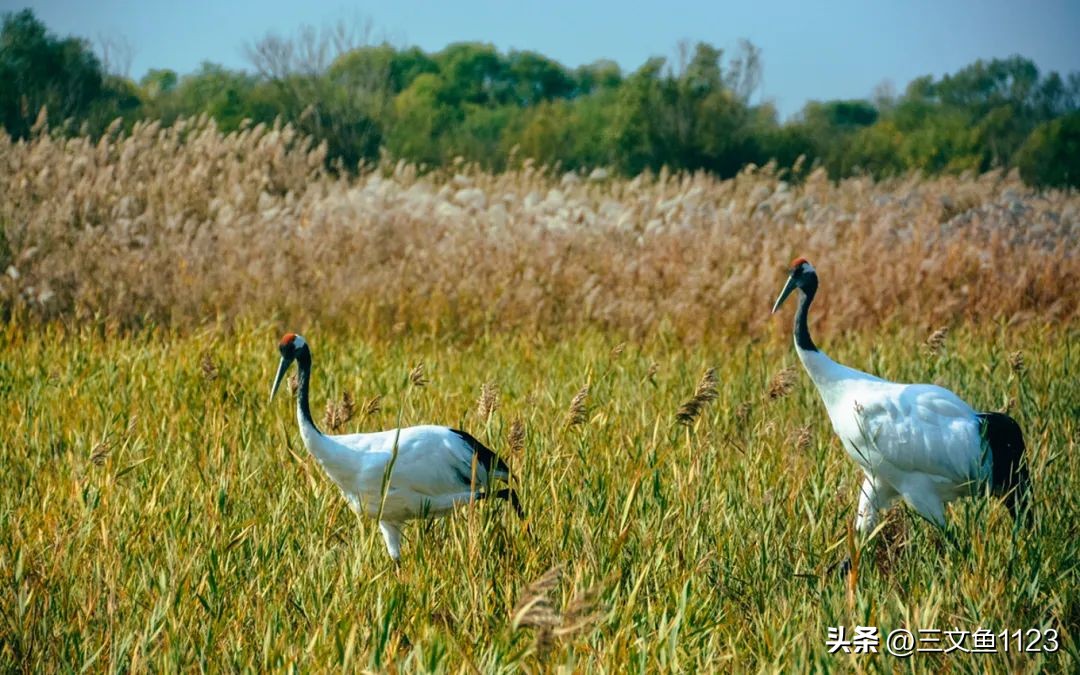 新冠疫情超过三年了吗,新冠肆虐这两年还有人得流感么