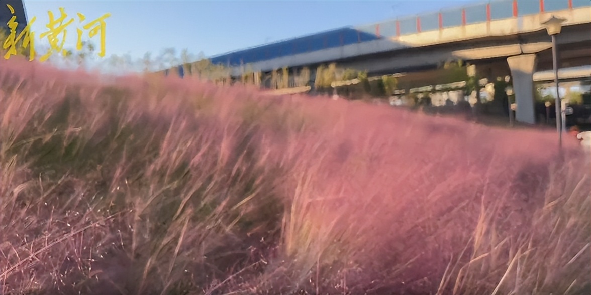 济南小众秋景好的地方,济南最近很火的打卡地秋天