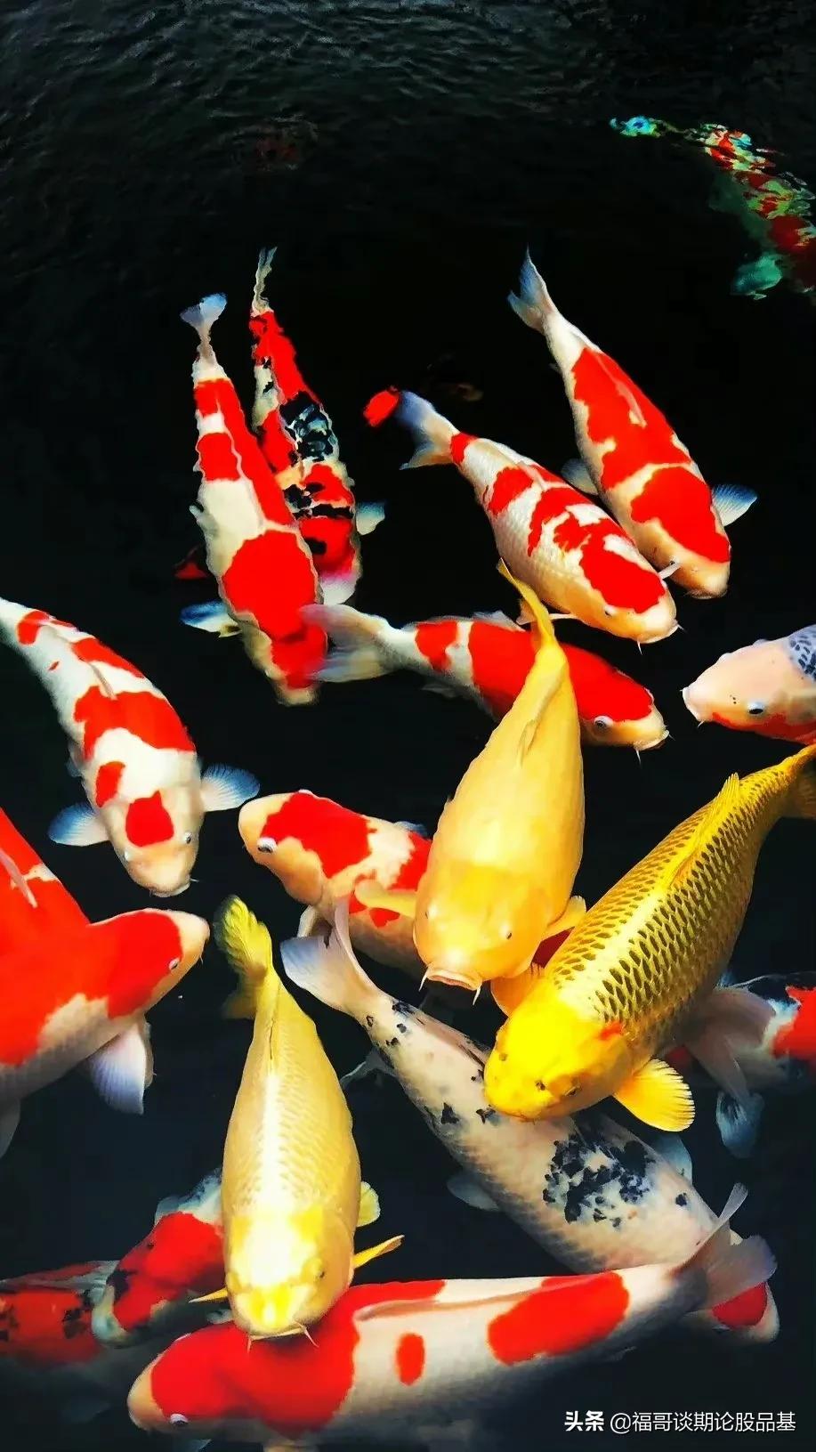 期货为什么会经常跳空交易,期货日内交易的七大技巧