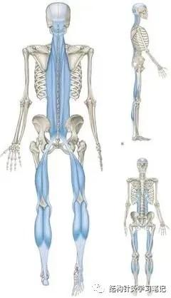 拔罐中的走罐,拔罐走罐视频
