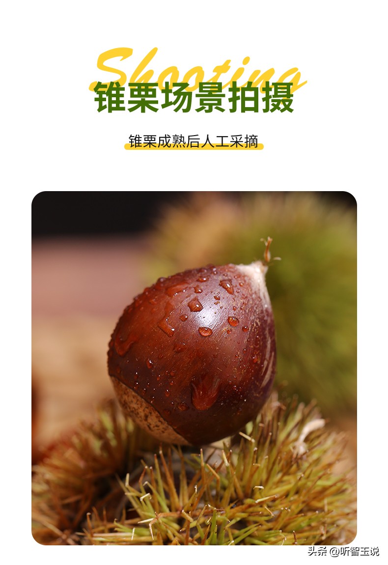 带秤去买水果,pdd买东西被骗了怎么办