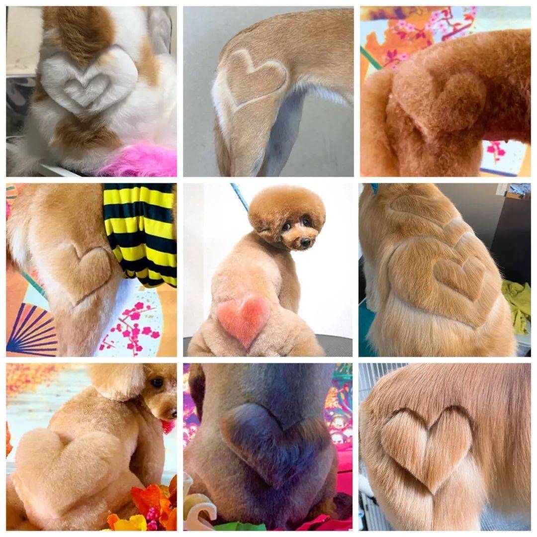 狗子剪出发射爱心的小屁屁