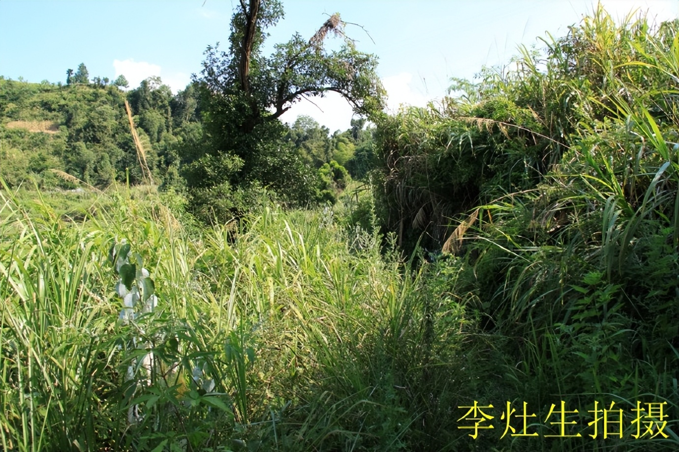 郴乐古道之水头江宜乐古道--广东省乐昌市庆云镇