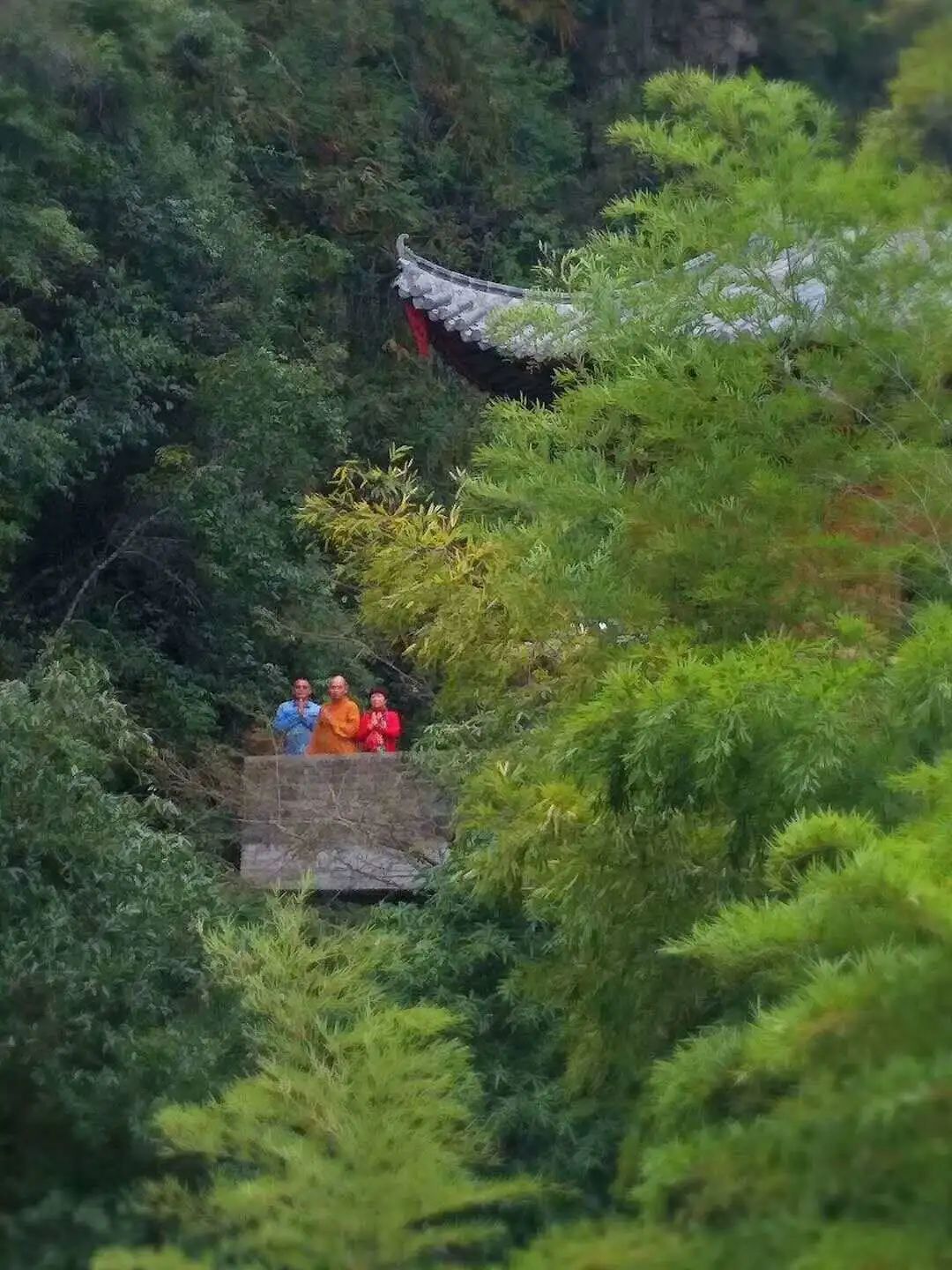 月游闽侯│七月-塘里洋里春园鲤,沉浸闽侯清凉里!