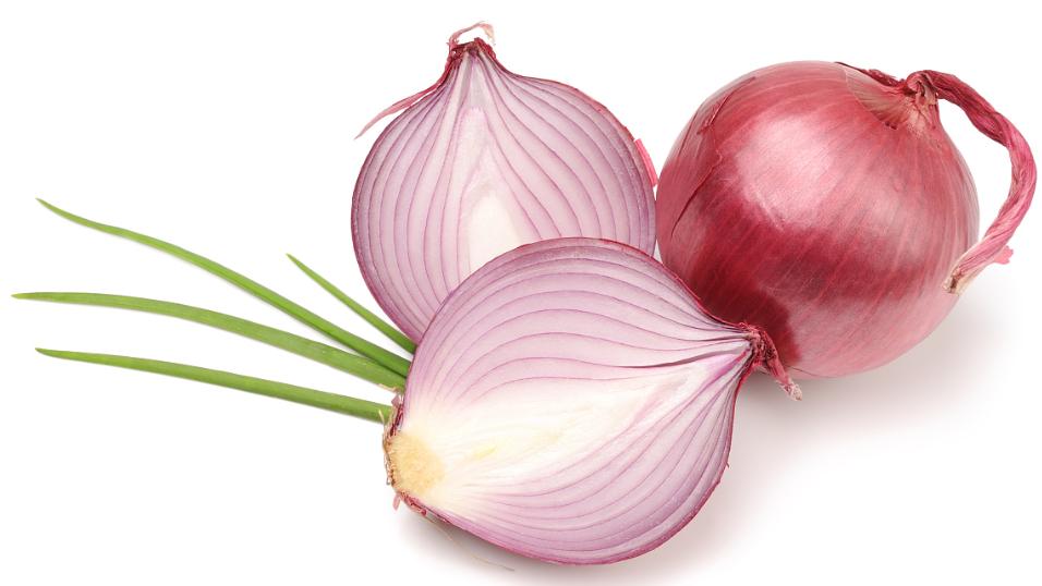 宠物狗尿里带血是怎么回事啊,公狗小狗小便的地方发红怎么回事