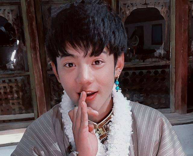 说出15个川渝地区的男明星,巴蜀美男子