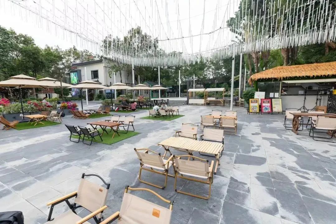 春节来光明“桥”见1958，寻找光明记忆