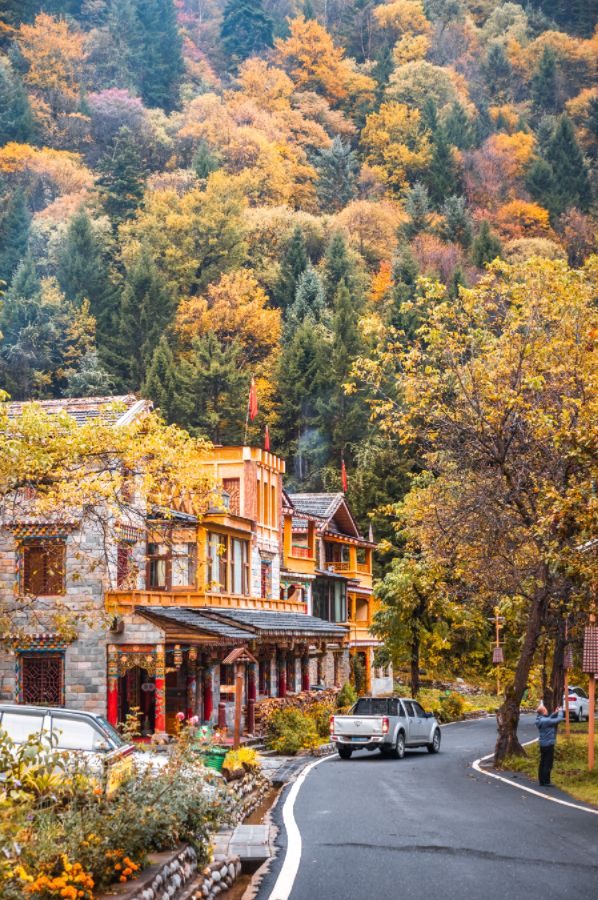 宸濊タ娴极鐨勫ぉ鑺辨澘,鏃嬭浆鏈ㄩ┈宸濊タ缇庢櫙