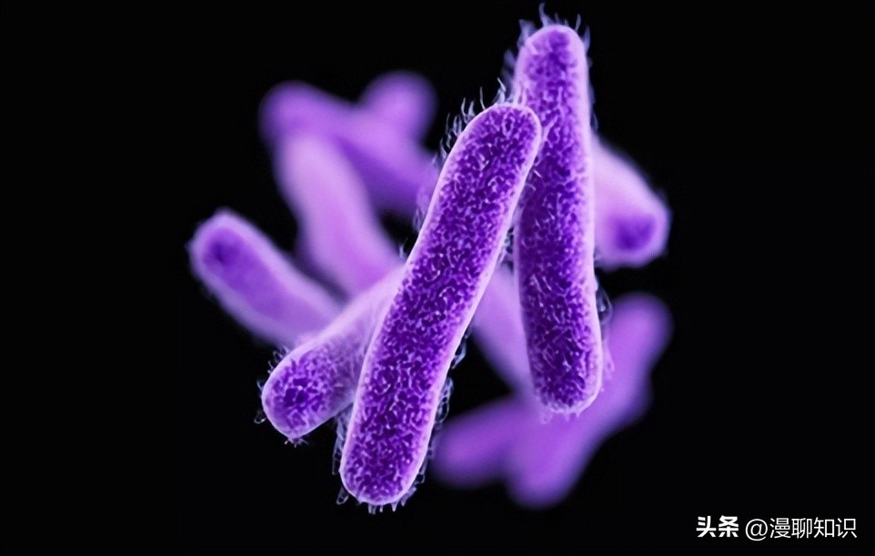 马传染性子宫炎传染性较强，它的传播途径有哪些