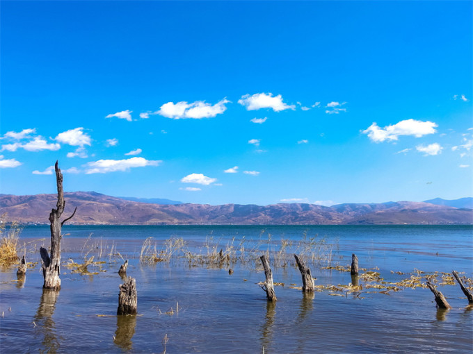 云南旅游避坑攻略一日游推荐,1月份一个人去云南旅游避坑