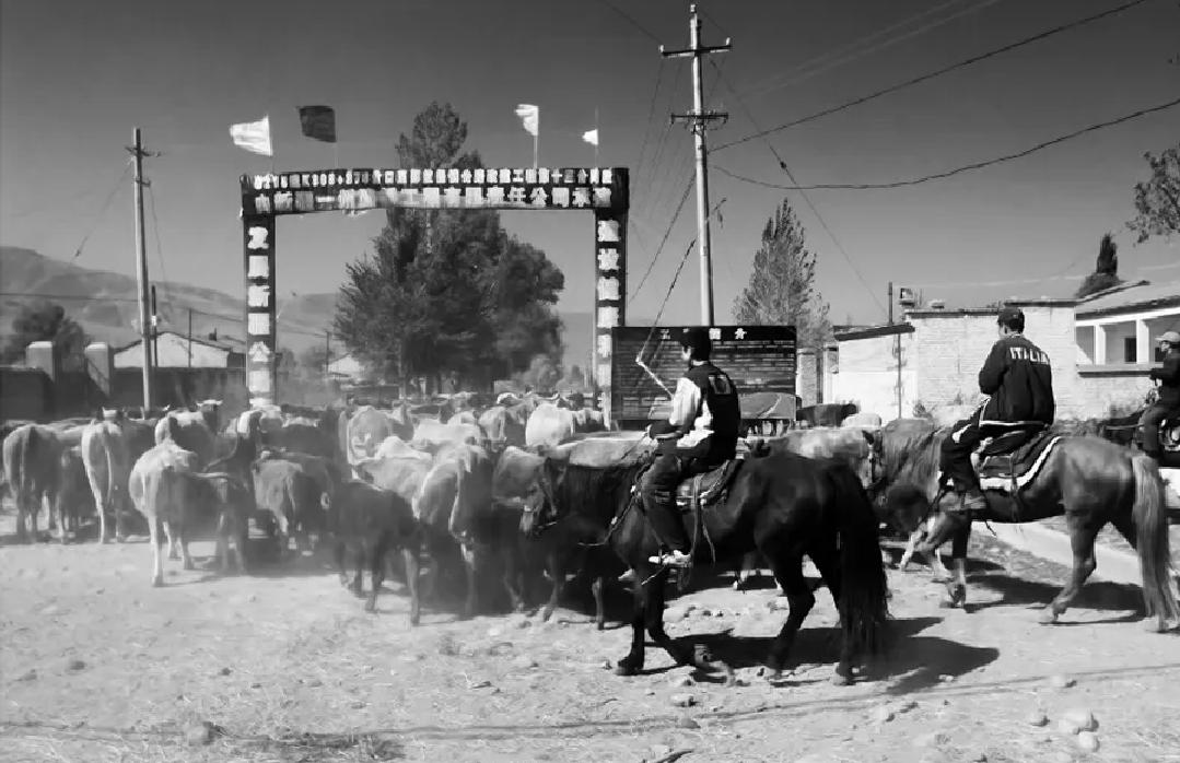 *疆新**特产“大小老窖”，在当地家喻户晓，为何出了*疆新**无人问津？