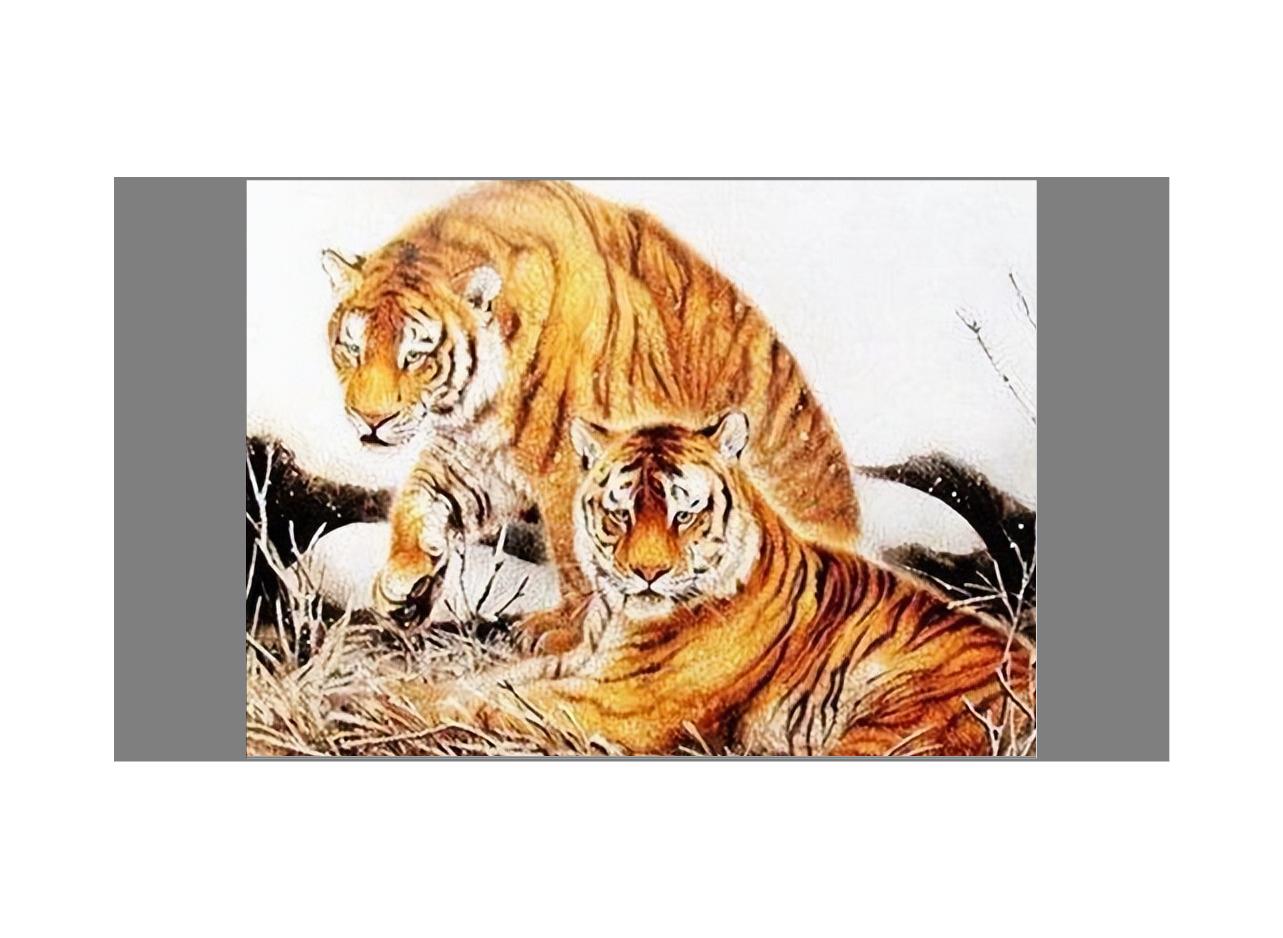 下半年哪些生肖有财运,今年财运超好非常赚钱的三大生肖